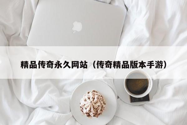 精品传奇永久网站(传奇精品版本手游)